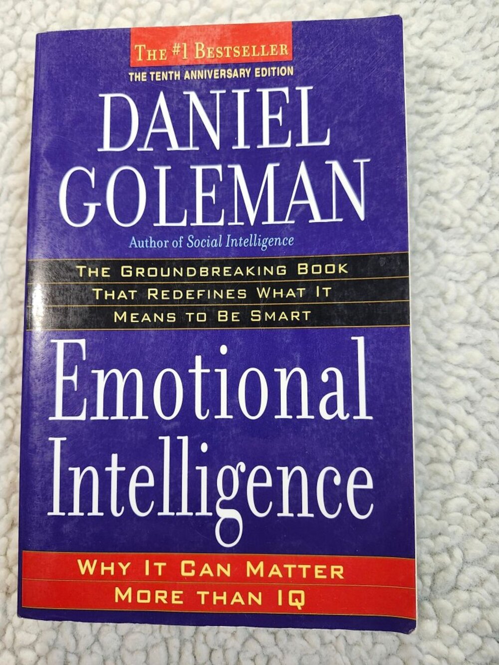 Daniel Goleman Emotional Intelligence 10th Anniversary Paperback Bantam 2006